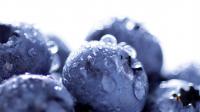 Nolte Glasnische BLU Motiv "Blueberry"
